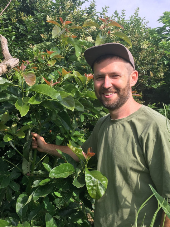 Matt with avocado tree